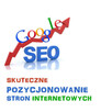 Tworzenie stron www, SEO, pozycjonowanie, e-sklepy, SSL - 2