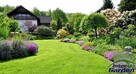 InterGarden Usługi porządkowo-ogrodnicze 504-102-225 - 5