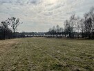 Działka budowlana  gm. Rydułtowy - 3