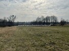 Działka budowlana  gm. Rydułtowy - 5