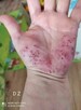 Hit cenowy Balsam tlenowy - 2
