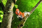 Wykonam prace ogrodowe oraz Pielęgnację całą roczną - 2