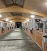 KLOUD VET SET ludzie zwierzęta 2w1 (pole elektromagnetyczne) - 8