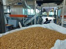 Pellet w biegach z dostawą