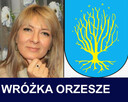 Wróżka Orzesze - Profesjonalna wróżka - tarot - 2