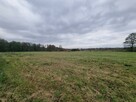 DZIAŁKI Z PRYWATNĄ PLAŻĄ NAD J. CICHOWO!! POLECAM - 1