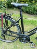 TREK Turystyk 24 Biegi Rama L 55 na 174-187cm Jak NOWY - 9