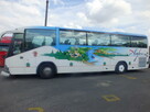 Przewozy autokarowe, wynajem 50-, 20-osobowe (autokar, bus) - 1