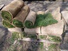 usługi ogrodnicze, wertykulacja trawników - 5