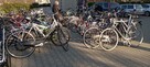 Rower Pegasus, Scott, Kreidler, Batavus, Gazelle, KTM - 5