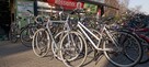 Rower Pegasus, Scott, Kreidler, Batavus, Gazelle, KTM - 2