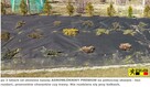 AGROWŁÓKNINA PREMIUM 250g 1, 1m 10lat na Chwasty Skarpy Igla - 6