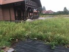 Kopark-Mulczer leśny-wycinka - przygotowanie pod siew- - 13