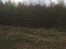 Kopark-Mulczer leśny-wycinka - przygotowanie pod siew- - 9