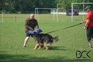 Szkolenie psów - 5