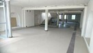 Wynajmę lokal Centrum Siedlce, 3 kondygnacje, winda, 650 m2 - 4