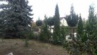 Sprzedam Dom .Okazja ! - 3