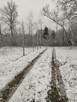 Działka - 4