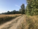 Działka nad jeziorem i stawem Wapnica - 13