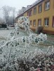 Wynajmę zaciszna kawalerkę w Stargardzie - 4