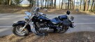 Suzuki VL 800 - 1