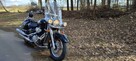 Suzuki VL 800 - 3