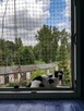 Siatka na okno dla kota/przeciw ptakom Zestaw 1,7mx4m - 5