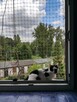 Siatka na okno dla kota, przeciw ptakom 1,7mx2m - 8