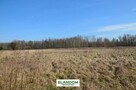 3124 m2 cicha i spokojna okolica, las - 2