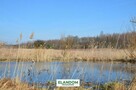 3124 m2 cicha i spokojna okolica, las - 4