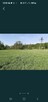Działka 1500 m2 Błędowa Tyczńska - 5
