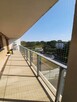 Siatka na balkon dla kota/przeciw ptakom Zestaw 3x6m - 3