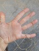 Siatka na balkon dla kota/na gołębie3x2m Zestaw do wiercenia - 2