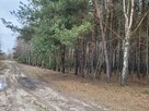 sprzedam działkę leśną - 3