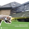 Naprawa dachu - Zwalczanie kun - Montaż odstraszacza - 8