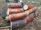 Drewno opalowe Sosna - 2