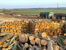 Drewno Kominkowe Opałowe Dąb Buk Wiąz Brzoza Olcha Sosna - 4