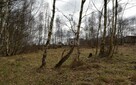 Na sprzedaż działka budowlana blisko morza, Dębina - 15