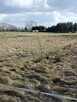 Sprzedam działkę budowlaną - 6