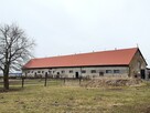 Dom, 220 m², Sojczyn Grądowy - 12