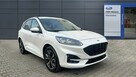 Ford Kuga 2.0 EcoBlue 190 KM | A8 | AWD | ST-Line X| Diesel - 4