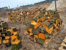 Drewno Kominkowe Opałowe Dąb Buk Wiąz Brzoza Olcha Sosna - 6