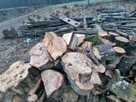 Drewno Kominkowe Opałowe Dąb Buk Wiąz Brzoza Olcha Sosna - 13
