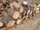 Drewno Kominkowe Opałowe Dąb Buk Wiąz Brzoza Olcha Sosna - 14