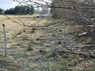 Sprzedam działkę budowlaną - 5