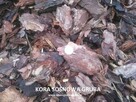 Kora sosnowa sortowana 80l ozdobna do ogrodu z dostawą - 4