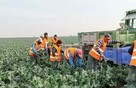 EST-Polska poszukuje w kraju firm do współpracy. - 3