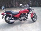 Kawasaki BN125 eliminator - 8