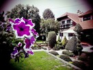 Agroturystyka noclegi - 3