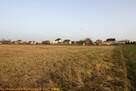 Działka budowlana Sieraków Śląski gm. Ciasna, - 10